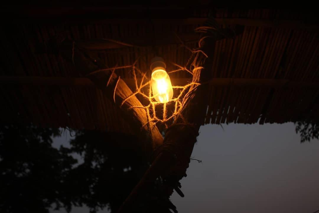 Happy Lemon Tree Lodge Sauraha Ngoại thất bức ảnh