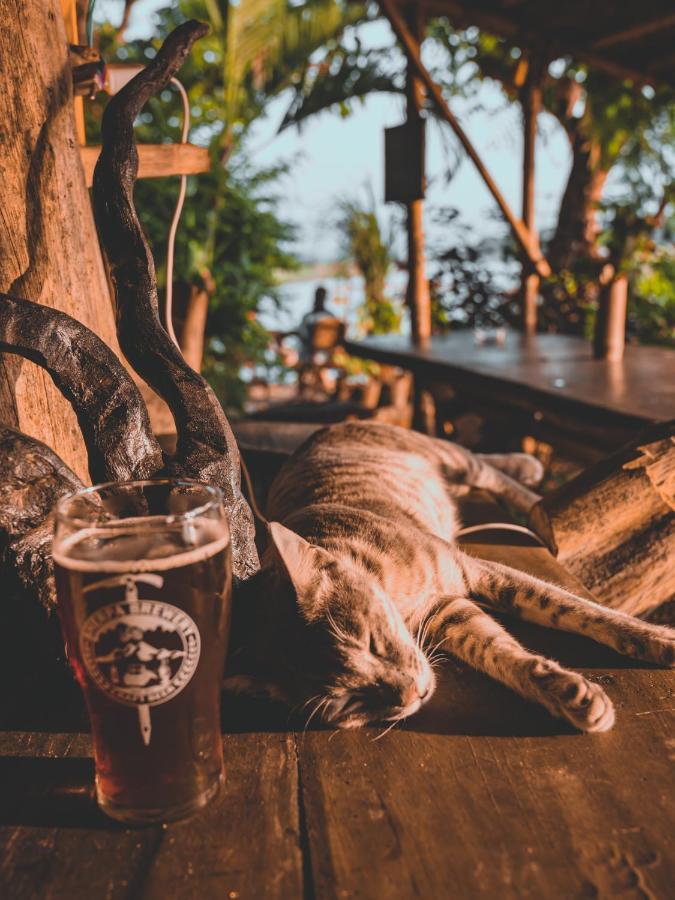 Happy Lemon Tree Lodge Sauraha Ngoại thất bức ảnh