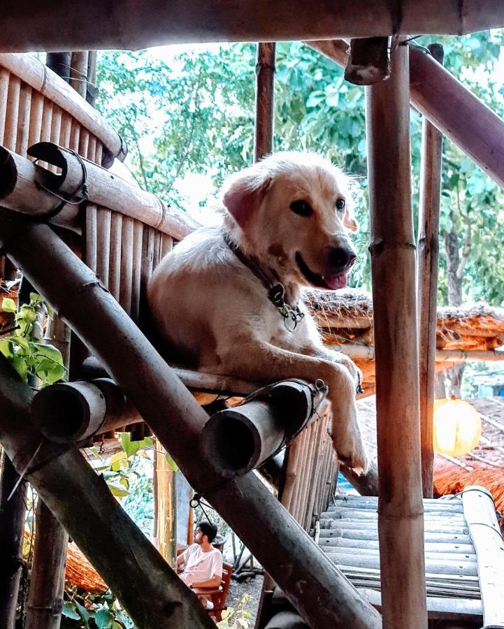 Happy Lemon Tree Lodge Sauraha Ngoại thất bức ảnh