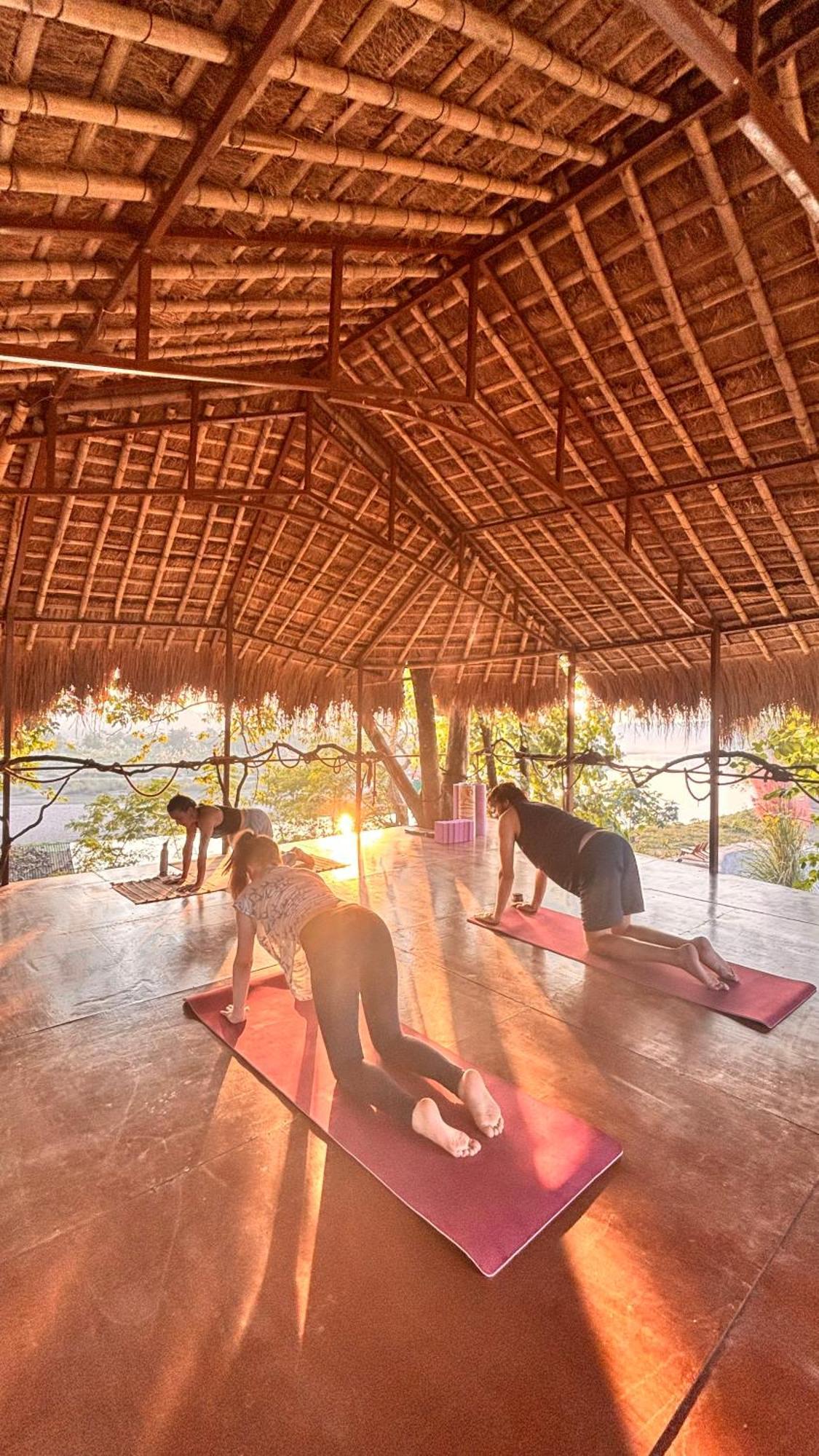Happy Lemon Tree Lodge Sauraha Ngoại thất bức ảnh