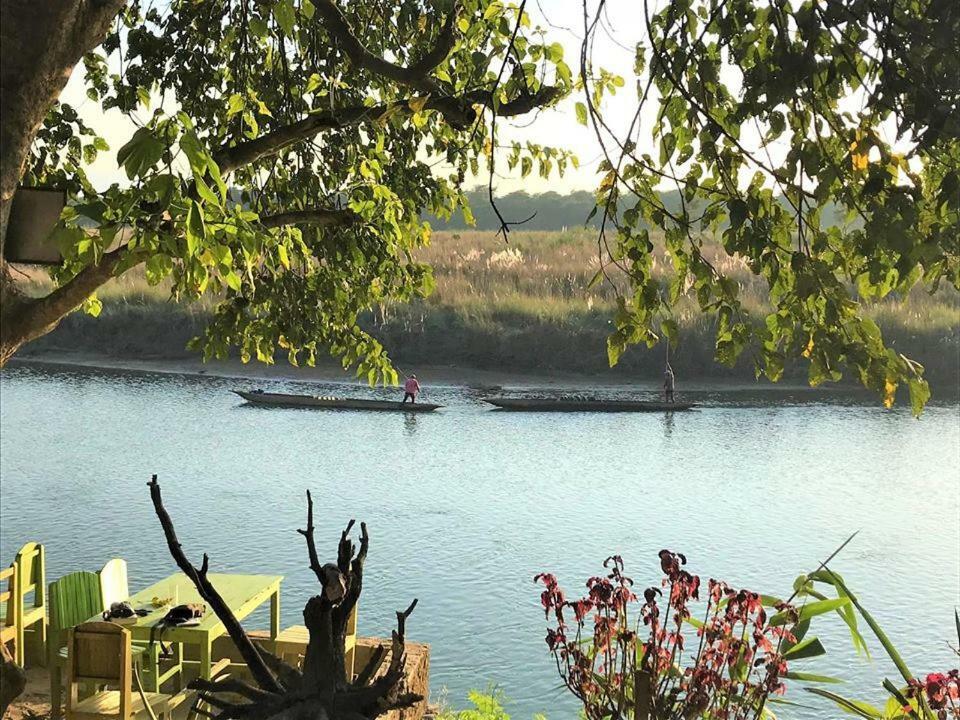 Happy Lemon Tree Lodge Sauraha Ngoại thất bức ảnh